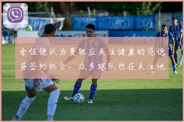 舍伍德认为曼联应关注健康的范德芬签约机会，众多球队也在关注他